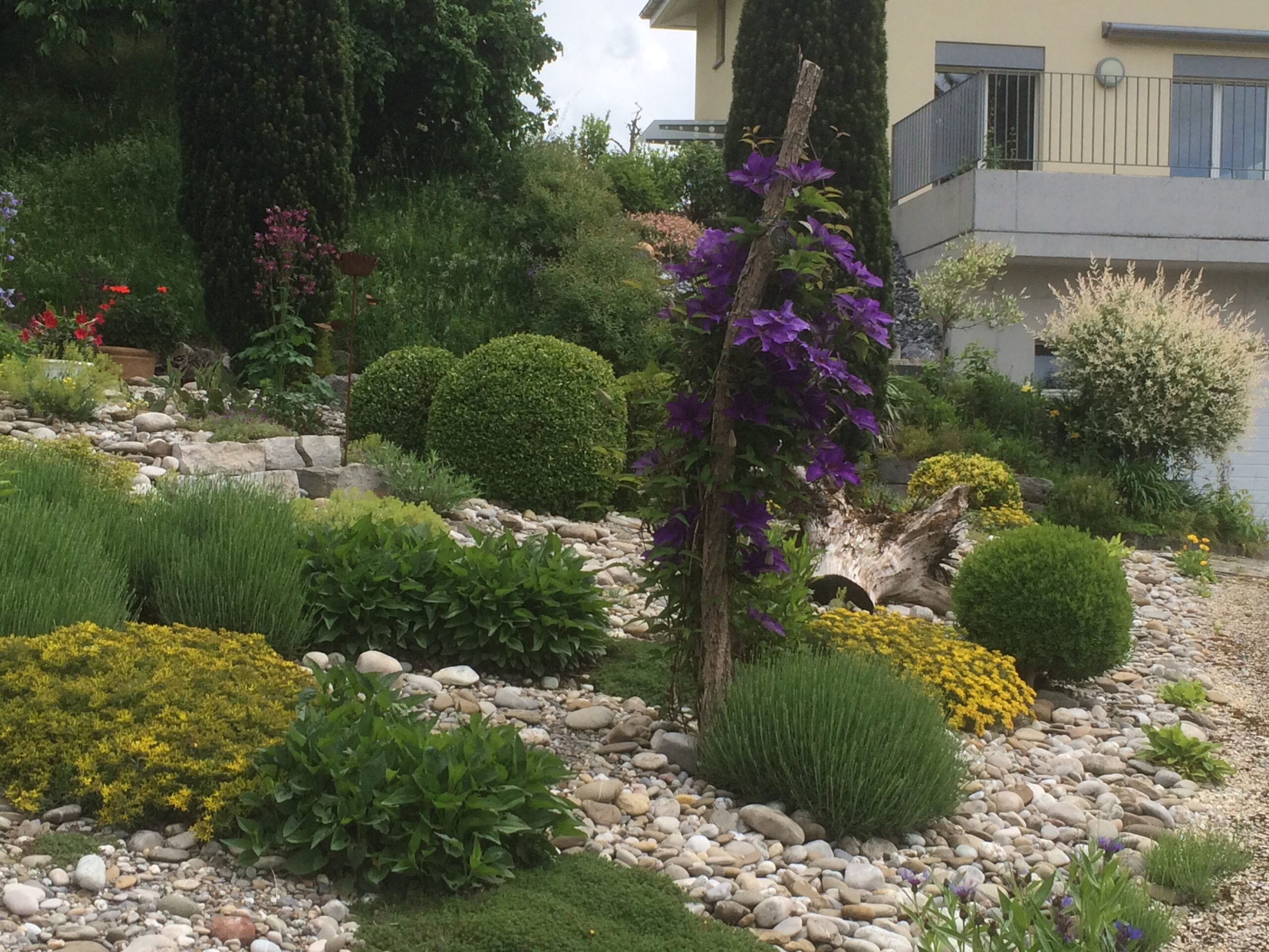 Gärtner Zulauf Gartenbau Vorgärten Landschaftsgärtner Schinznach Dorf Aargau